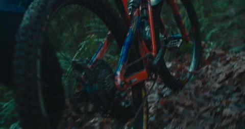 A mountain biker rides through a mossy Pacific Forest Stock Footage 231817055
