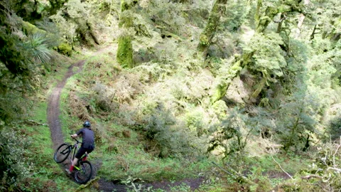 Mountain biker rides through New Zealand scenic native track. Stock Footage 130222857