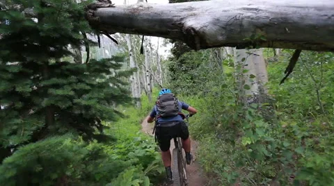 Mountain biker rides under tree Stock-Footage 50965855