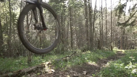 A mountain biker is riding a bicycle by a forest bicycle, slow-motion shooting Stock Footage 89884408
