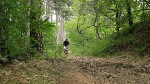 Mountain biker riding down the forest road. Video stock 11592046