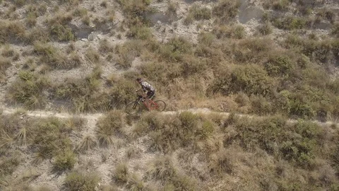 Mountain biker riding down a trail in a sunny day Stock Footage 115533218