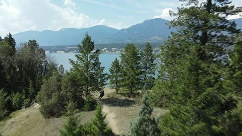 Mountain biker riding a fast trail with lake view, Aerial Shot Stock Footage 289486108