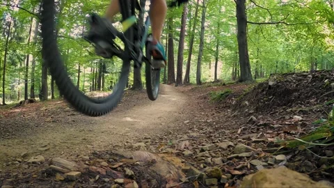 Mountain biker riding on flow single track in green forest. Stock Footage 138740849