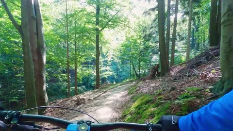 Mountain biker riding on flow single track trail in green forest. Stock Footage 138794923