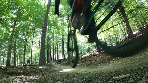 Mountain biker riding on flow single track in green forest. Stock Footage 138913383