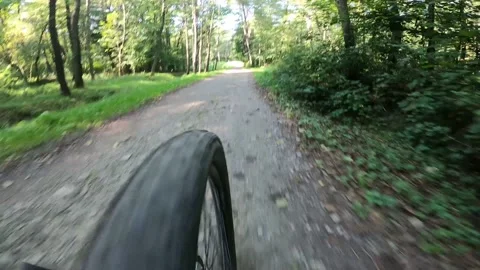 Mountain biker riding on flow single track trail in green forest. Stock Footage 139301335