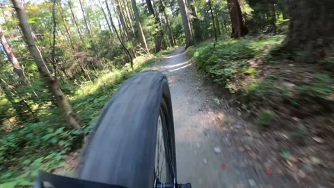 Mountain biker riding on flow single track trail in green forest. Stock Footage 139303928