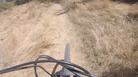 Mountain biker riding in the forest. 스톡 동영상 115356729