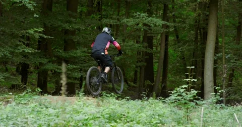 Mountain Biker Riding Up Forest Trail, Green Woodland Rear View Vídeo Stock 340105336