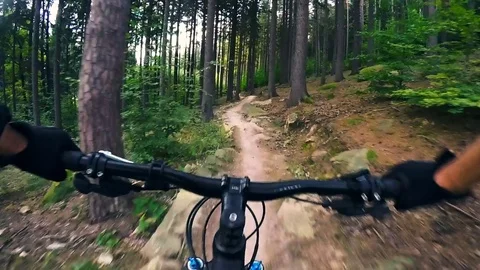 Mountain biker riding on single track in green forest, POV cycling Stock Footage