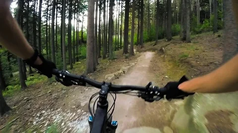 Mountain biker riding on single track in green forest, 4 clips POV cycling Stock Footage 80963290