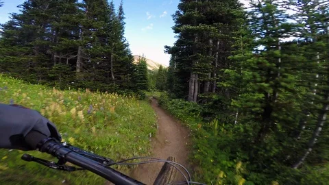 Mountain Biker Riding Through Fields Of Wild Flowers 스톡 동영상 115101420