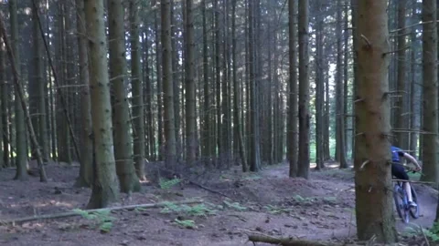 Mountain biker riding through the forest Stock Footage 157023688
