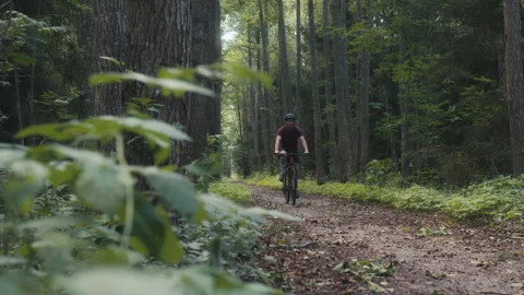 Mountain Biker Riding Through Forest Fast Stock Footage 282044122