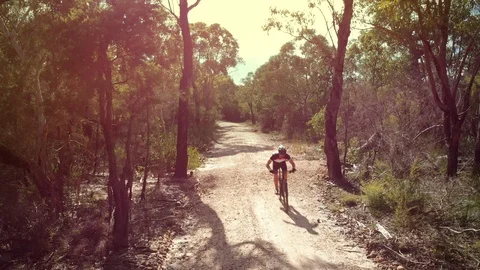 Mountain biker riding toward camera aerial shot Stock Footage 112106305