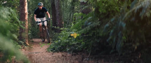 Mountain Biker on Single Track in Sunny Forest Stock Footage 147995340