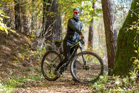 A Mountain Biker Skillfully Riding Through Vibrant Autumn Forest Trails and Stock Photos