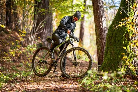 A Mountain Biker Skillfully Riding Through Vibrant Autumn Forest Trails and Stock Photos