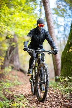 A Mountain Biker Skillfully Riding Through Vibrant Autumn Forest Trails and Stock Photos