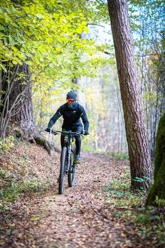 A Mountain Biker Skillfully Riding Through Vibrant Autumn Forest Trails and Stock Photos