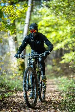 A Mountain Biker Skillfully Riding Through Vibrant Autumn Forest Trails and Stock Photos