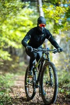 A Mountain Biker Skillfully Riding Through Vibrant Autumn Forest Trails and Stock Photos