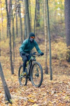 A Mountain Biker Skillfully Riding Through An Autumn Forest Trail Surrounded By Stock Photos