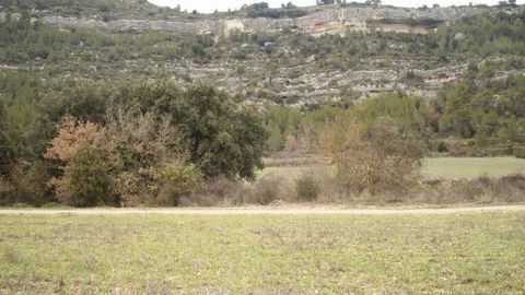 Mountain biker sprinting down a dirt road Stock Footage 124522403