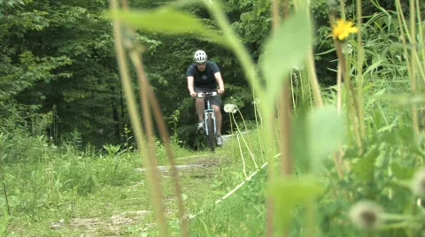Mountain biker through flowers  Video stock 499712