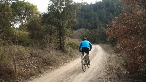 Mountain biker through a forest Stock Footage 124522822
