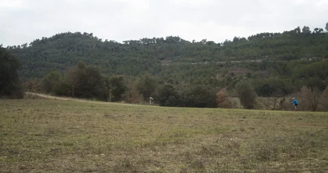 Mountain biker through a forest Stock Footage 125356790