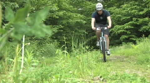 Mountain biker on the trail Video stock 499720