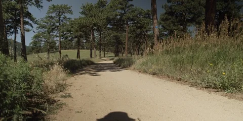 Mountain Biker On Trail 스톡 동영상 105389107