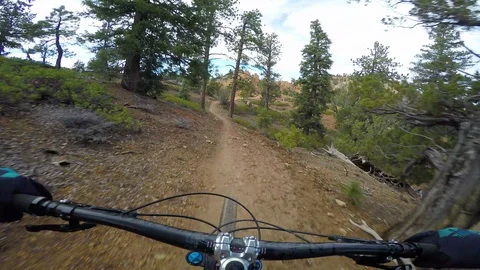 Mountain Biker View Of Riding Through Green Forest On Dirt Trail 스톡 동영상 114343627
