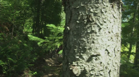 Mountain bikers (2) pass by Stock Footage 32397233