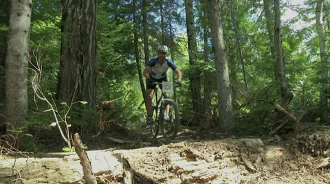 Mountain bikers (3) over small log Stock Footage 32397352