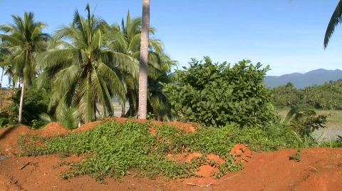 Mountain bikers driver down hill in full protective gear Video stock 606738