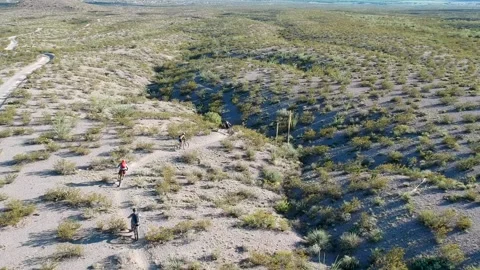 Mountain bikers from drone Stock Footage 146136306