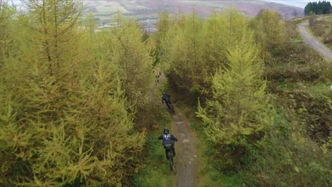 Mountain bikers dropping down onto trail through yellow trees, drone aerial 4K Stock Footage 101110400
