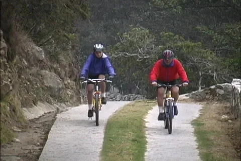 Mountain bikers Video stock 467223