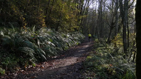 Mountain bikers Vídeo Stock 143032788