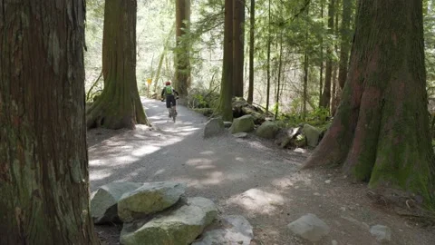 Mountain bikers going downhill in an evergreen forest Stock-Footage 152886949