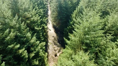 Mountain bikers going over large jump from above canopy level, drone aerial 4K Stock Footage 101154565