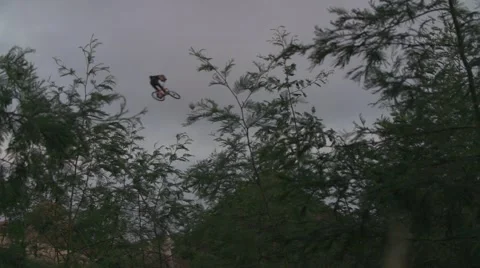 Mountain Bikers Jumping Through Leaves Stock Footage 65062225
