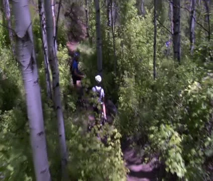 Mountain bikers pedal down steep wooded trail Video stock 21670131