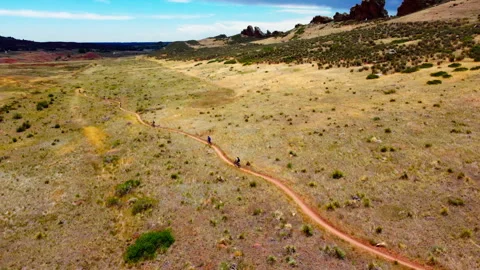 Mountain bikers ride on a trail cut through the Colorado fields Stock Footage 247363650