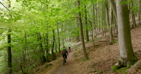 Mountain Bikers Riding on Forest Trail, Rear View, Summer Woodland Adventure Video stock 330107646