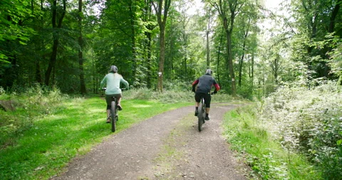 Mountain Bikers Riding on Forest Trail Path in Bright Summer Sunlight Video stock 330110059