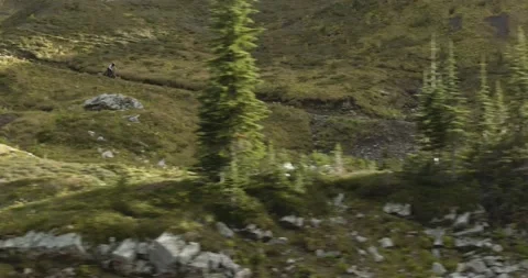 Mountain bikers riding through alpine bowl Stock Footage 133210532